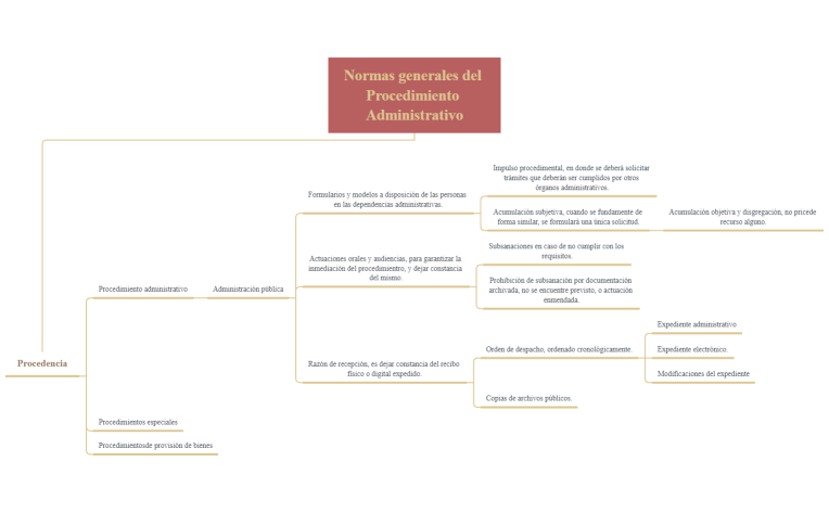 Normas generales del procedimiento administrativo