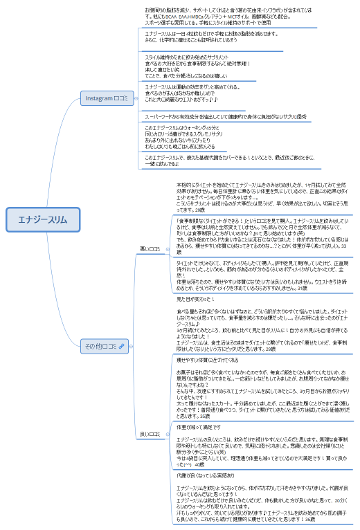エナジースリム