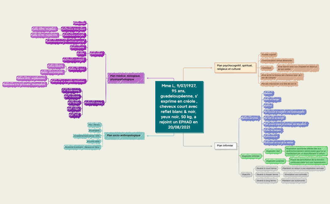 TD N°3 UE 5.1.xmind
