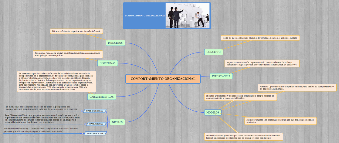 COMPORTAMIENTO ORGANIZACIONAL