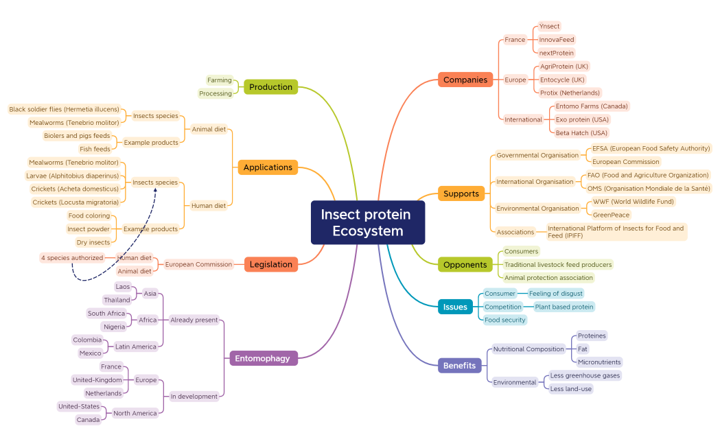 Insect protein Ecosystem