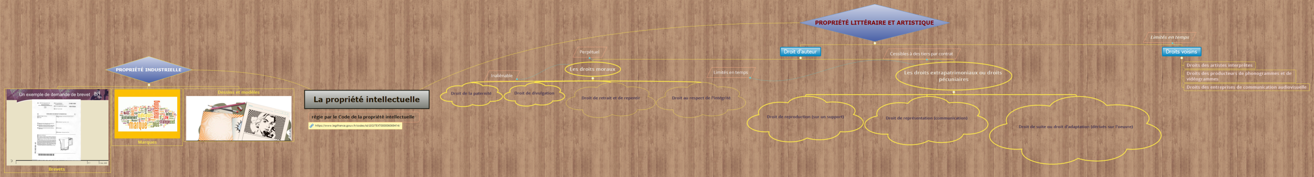 La propriété intellectuelle