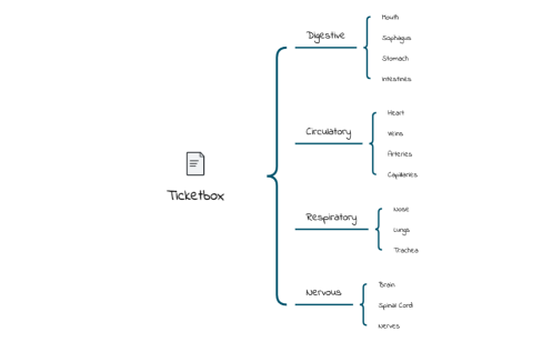 Body_Systems-cicXSn-HH9fd5W-10602