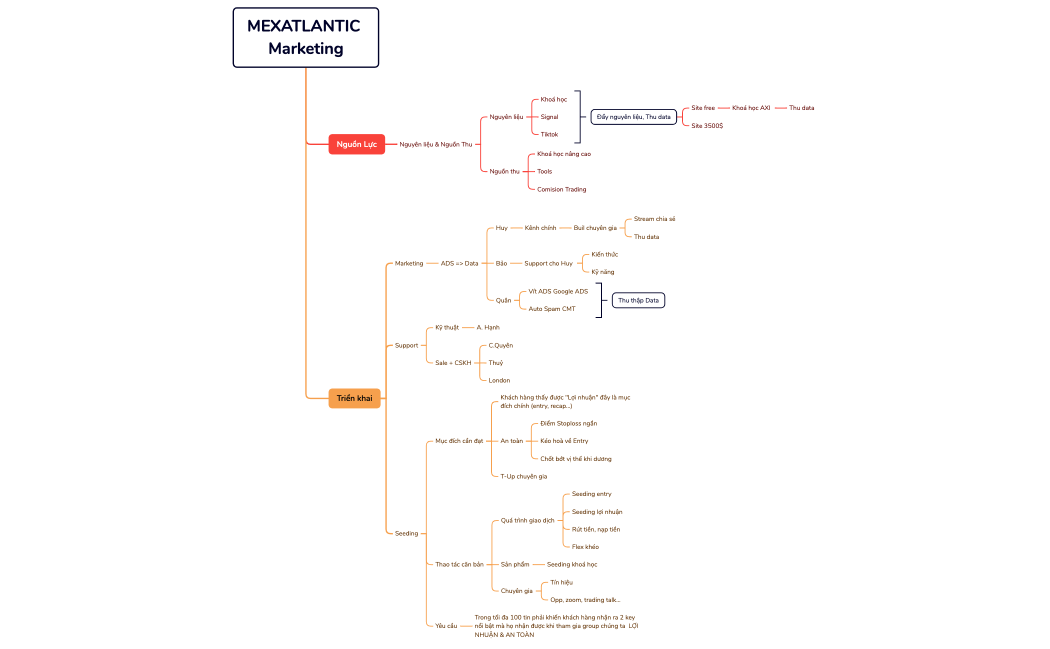 Royal Lion x MEXATLANTIC Marketing
