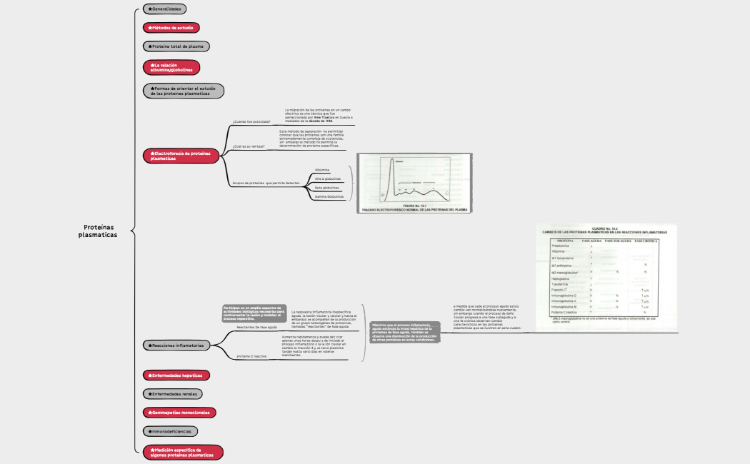 Proteínas plasmaticas