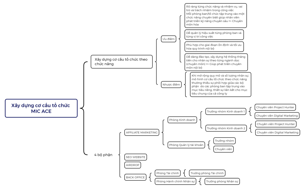 Xây dựng cơ cấu tổ chức MIC ACE