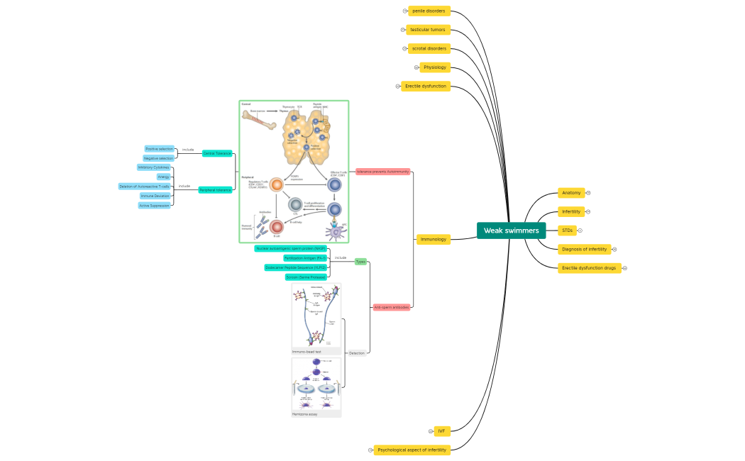 Weak_swimmersfjpkh6RPEM1an96817-NjvADb-uiaSnnc-91549