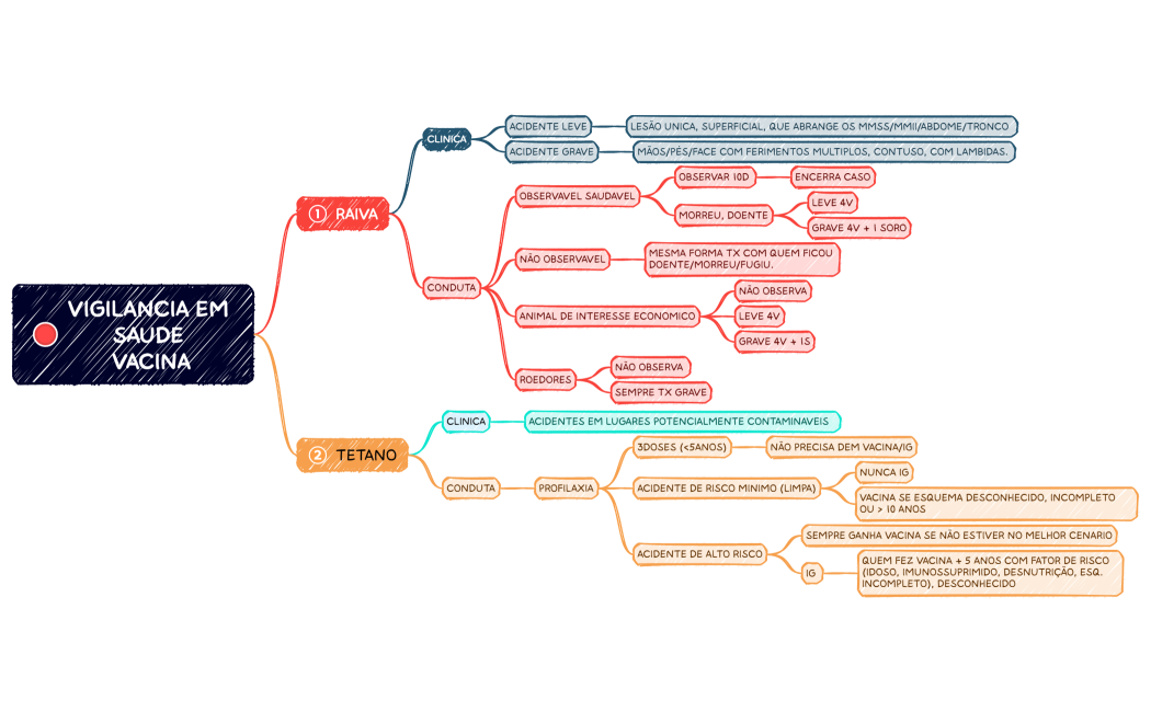 VIGILANCIA EM SAUDE VACINA