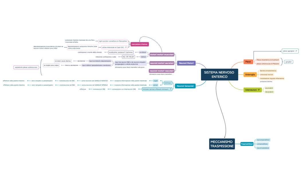 SISTEMA NERVOSO ENTERICO