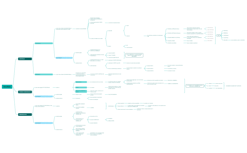 Encefalo