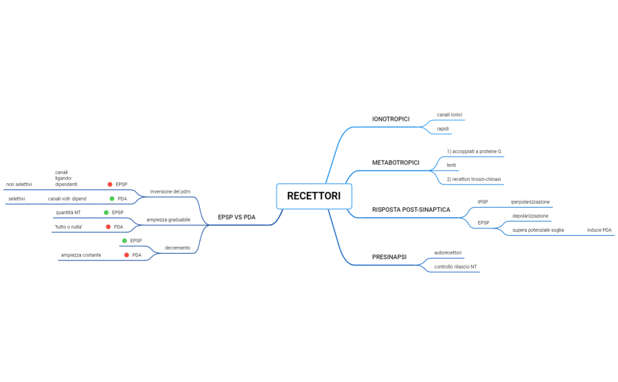 RECETTORI+ NEUROTRASMETTITORI