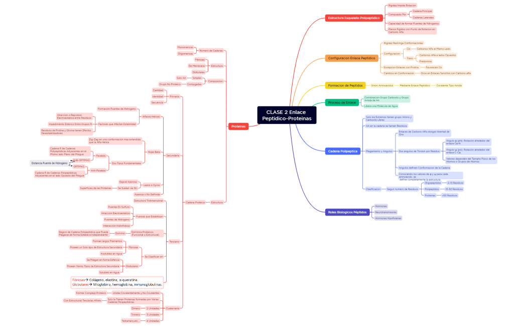 CLASE 2 Enlace Peptidico-Proteinas