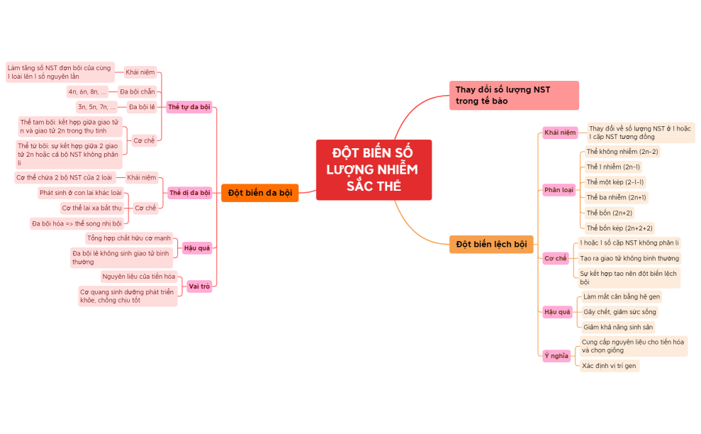 ĐỘT BIẾN SỐ LƯỢNG NHIỄM SẮC THỂ