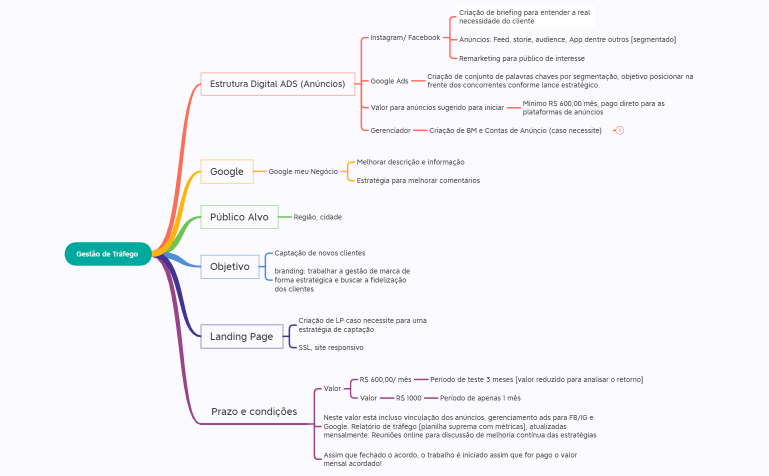 Gestão de Tráfego [Apresentação Michel
