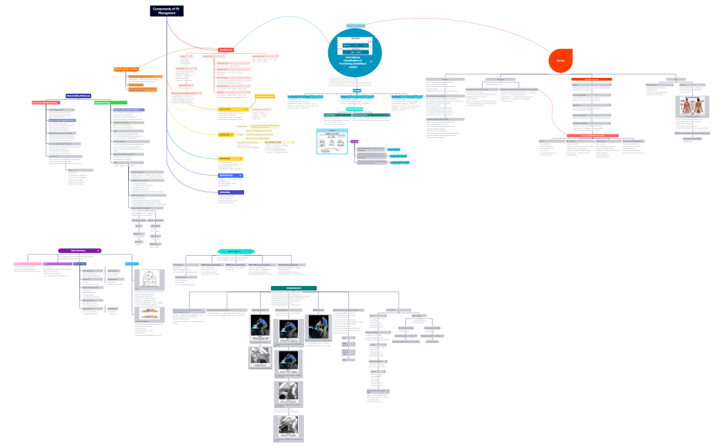 Components of Pt. Managment