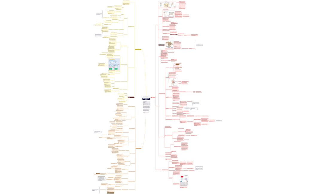 Sinnesphysiologie und Reflexe