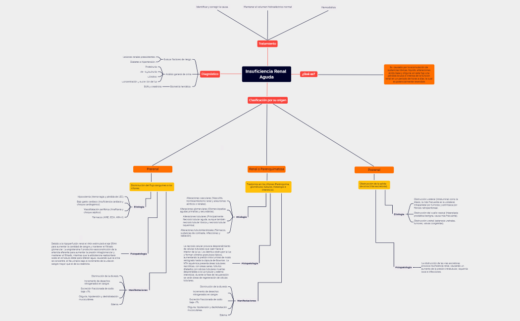 Insuficiencia Renal Aguda