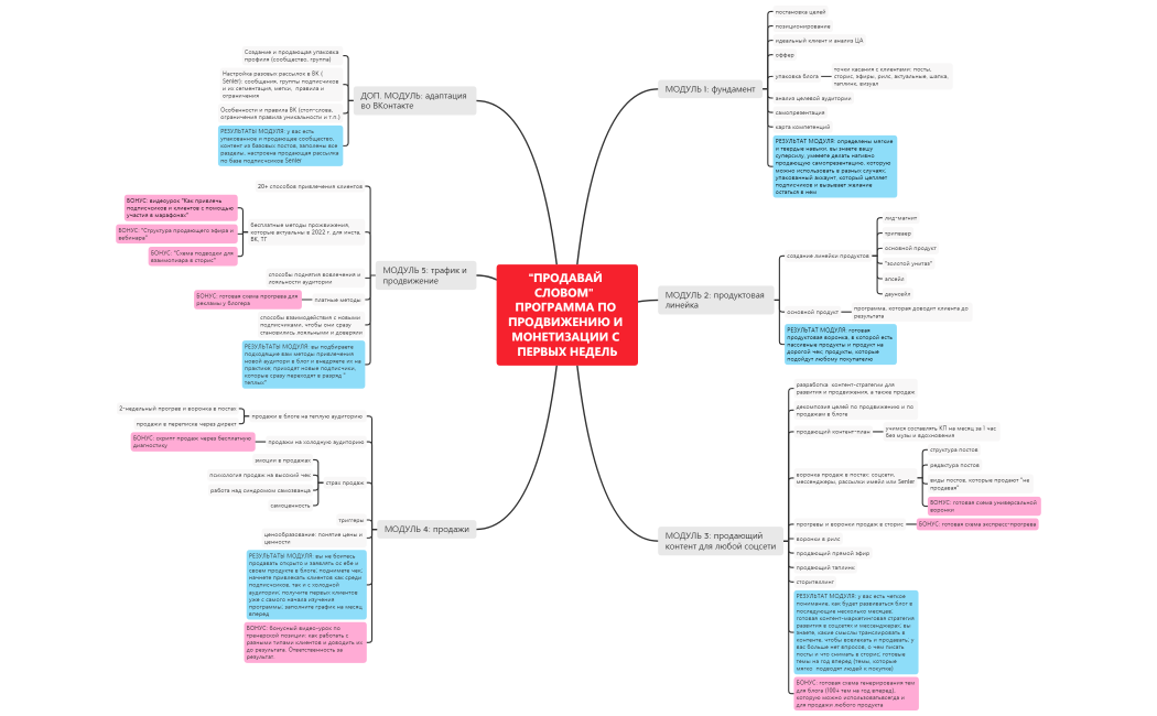 ПРОГРАММА ПО ПРОДВИЖЕНИЮ И МОНЕТИЗАЦИИ С ПЕРВЫХ НЕДЕЛЬ