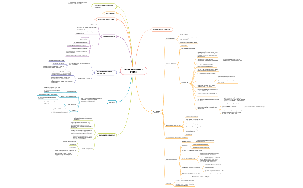 ANNESSI EMBRIO-FETALI
