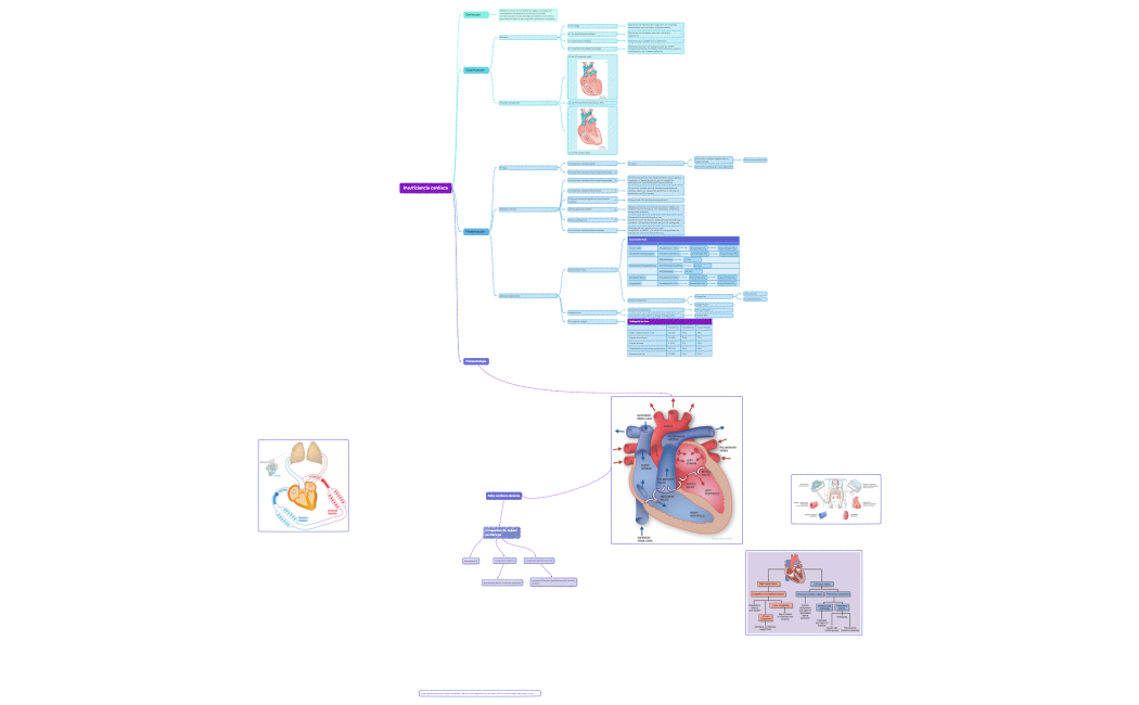 Insuficiencia cardiaca