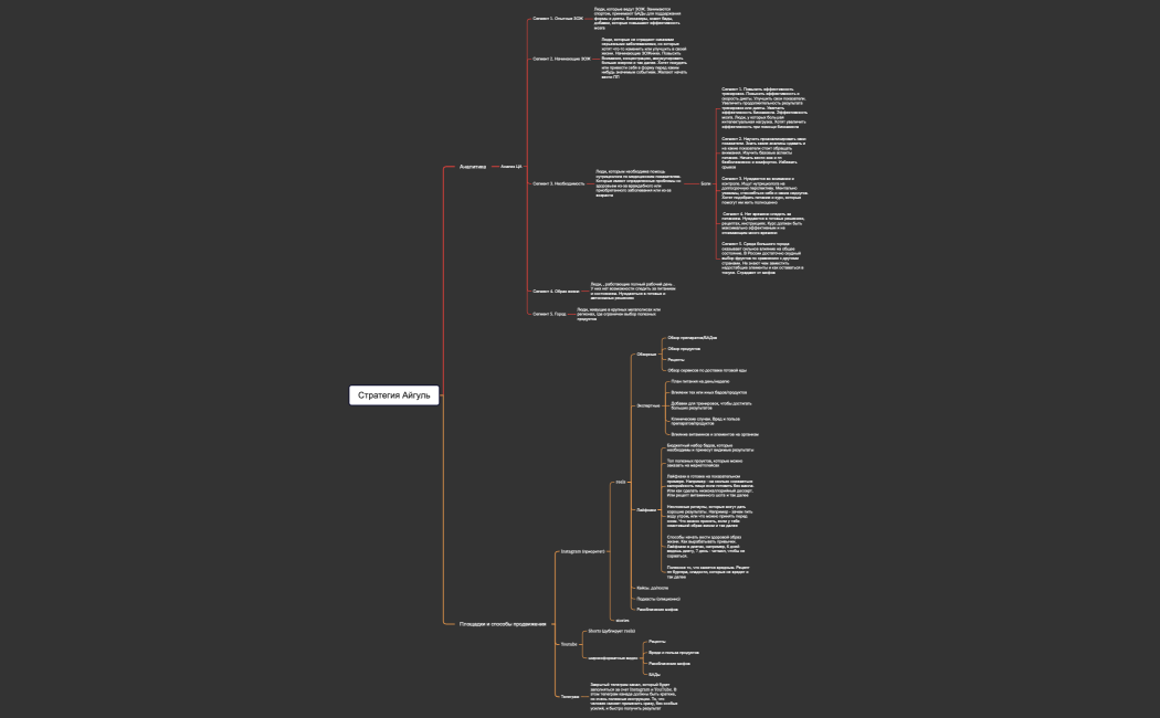 Стратегия Айгуль