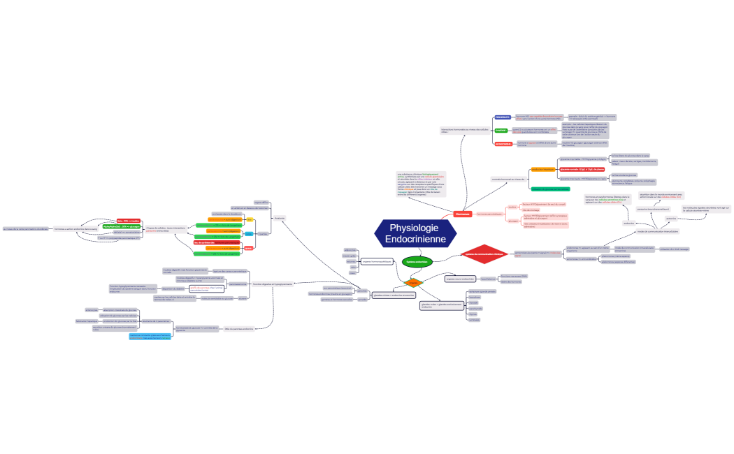 Physiologie Endocrinienne