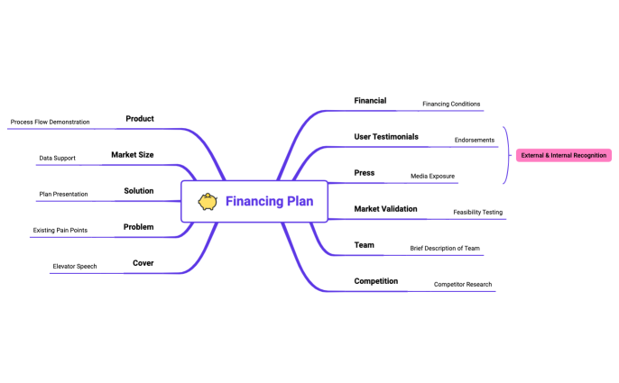 Financing Plan