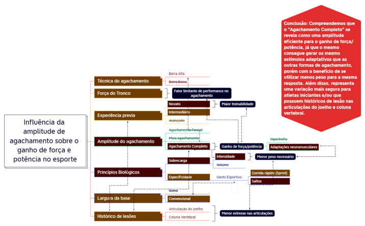 Interferência da amplitude de agachamento sobre o ganho de força e potência