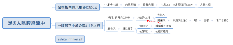 足の太陰脾経流中