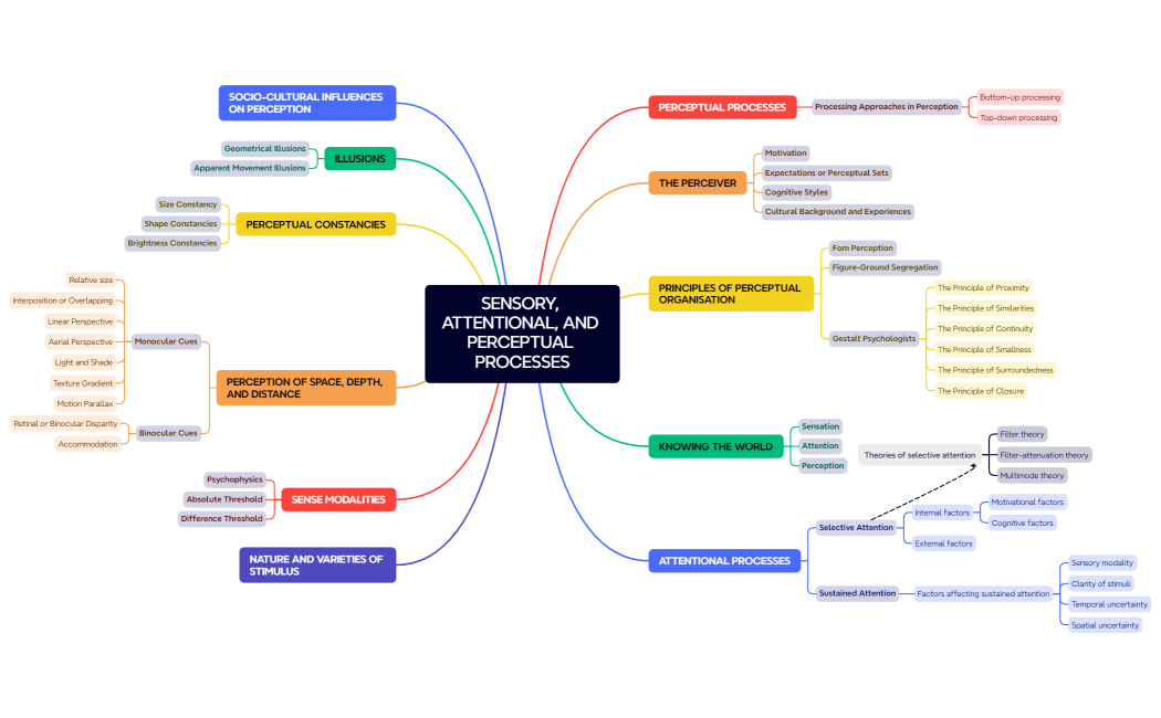 SENSORY, ATTENTIONAL, AND PERCEPTUAL PROCESSES