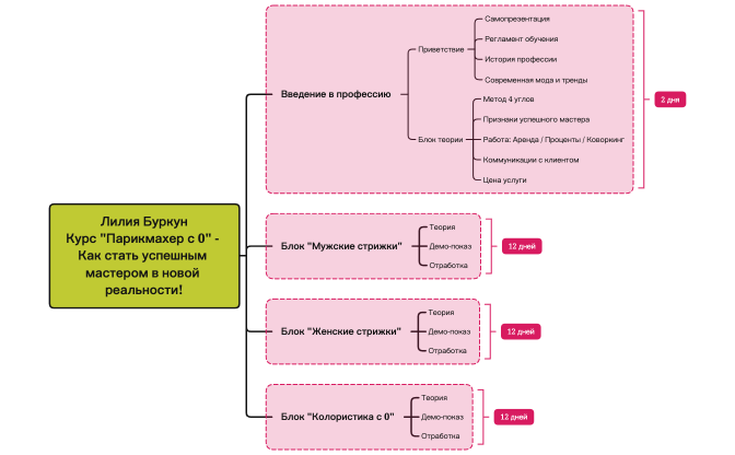 Лилия Буркун Курс "Парикмахер с 0" - Как стать успешным мастером в новой реальности!