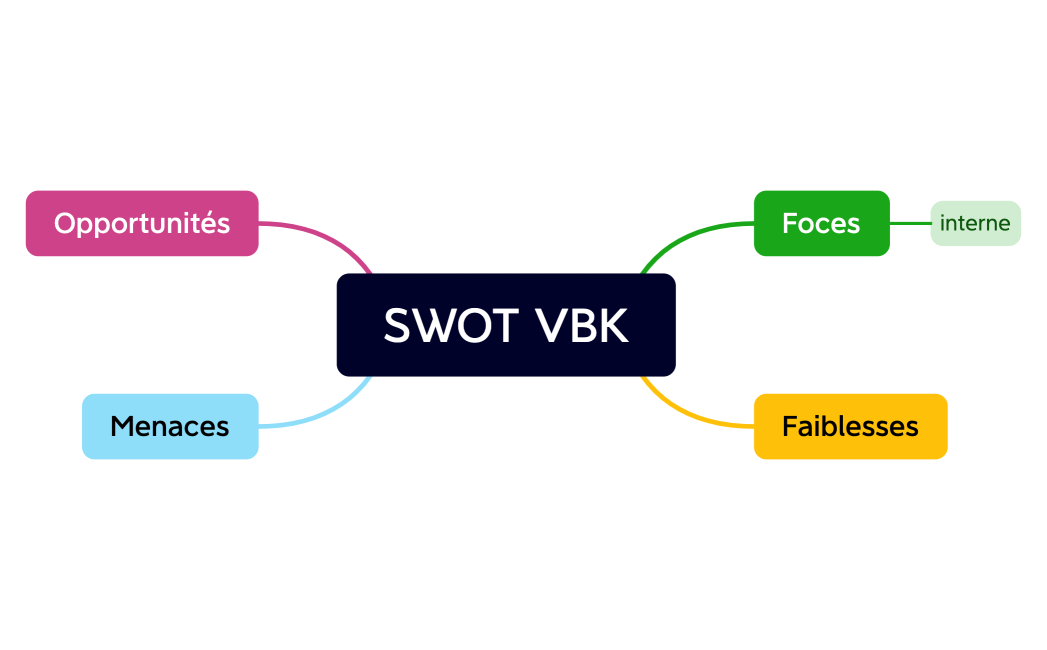 SWOT VBK