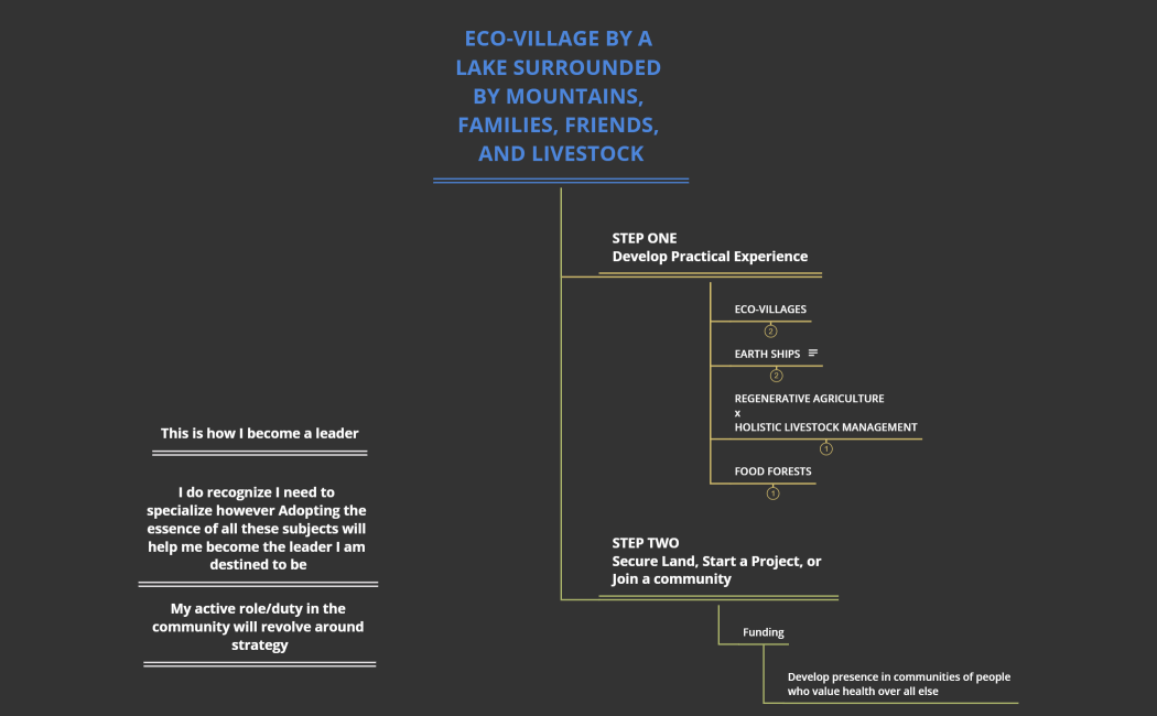 ECO-VILLAGE BY A LAKE SURROUNDED BY MOUNTAINS, FAMILIES, FRIENDS, AND LIVESTOCK