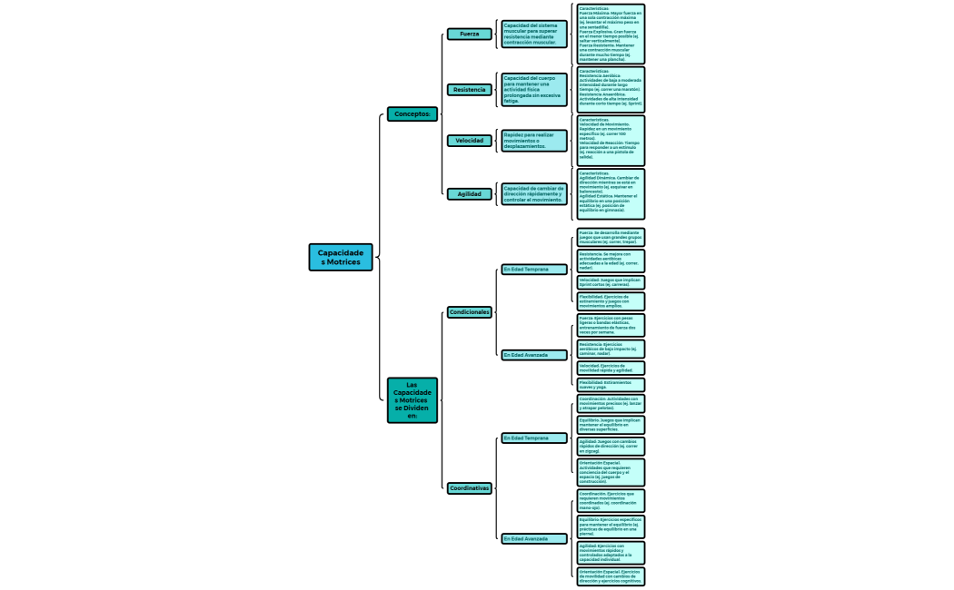 Capacidades Motrices