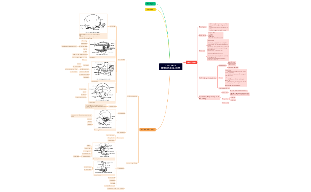 CHƯƠNG III. HỆ XƯƠNG VÀ KHỚP.xmind
