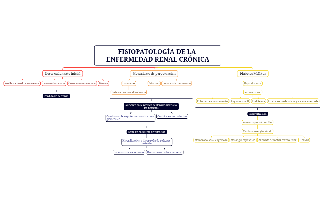 FISIOPATOLOGÍA DE LA ENFERMEDAD RENAL CRÓNICA