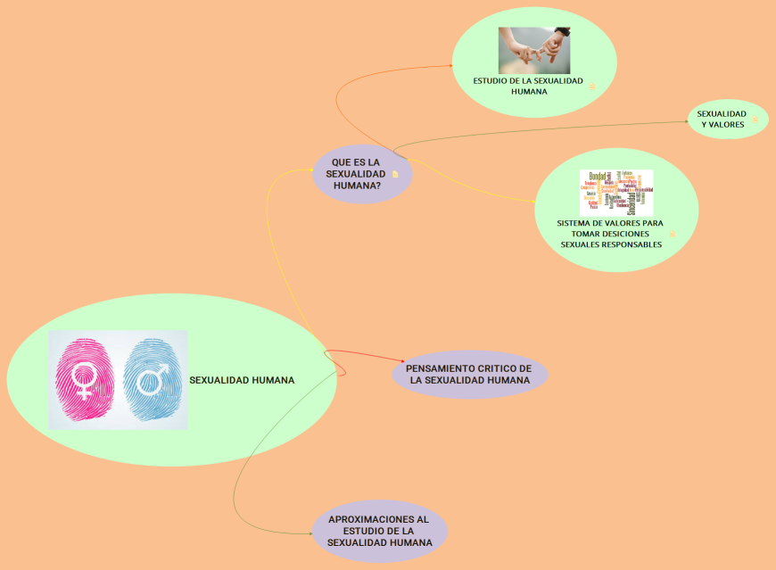 SEXUALIDAD HUMANA