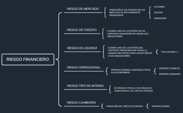 RIESGO FINANCIERO