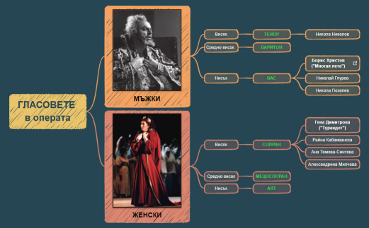 ГЛАСОВЕТЕ в операта.xmind