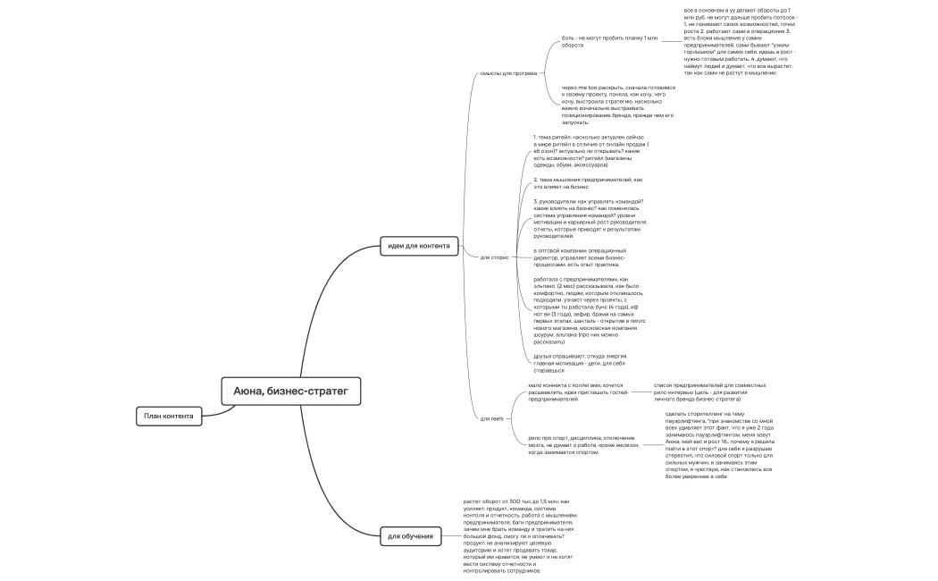 Аюна, бизнес-стратег
