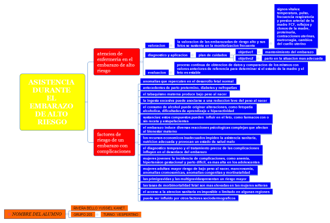 asistencia durante el embarazo de alto riesgo