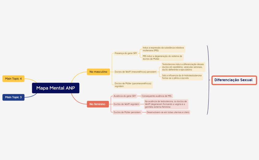 diferenciação sexual - mapa mental.xmind