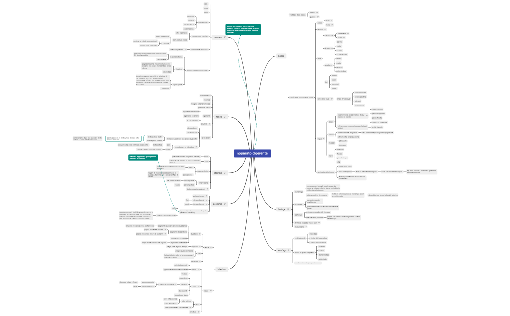 Apparato digerente xmind