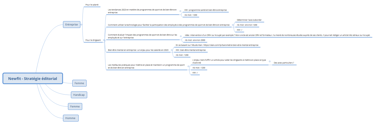 Newfit - Stratégie éditorial