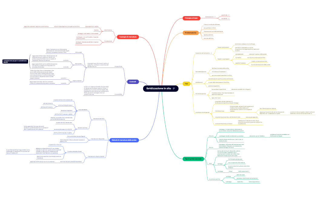 cinetica di marcatura e ibridizzazione 