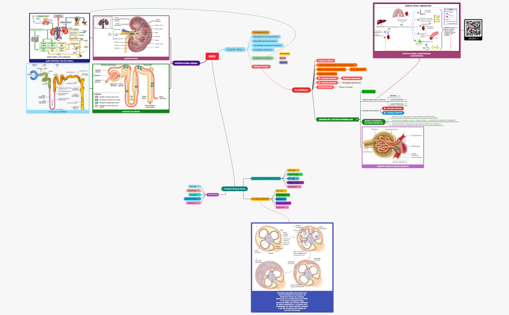 REVISÃO SISITEMA URINÁRIO