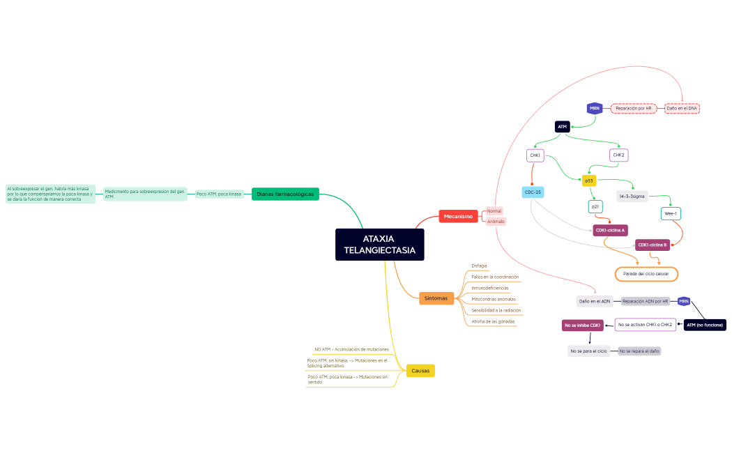 ATAXIA TELANGIECTASIA