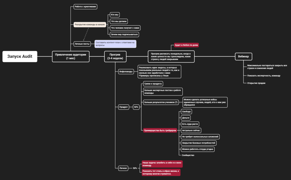 Запуск Audit.xmind