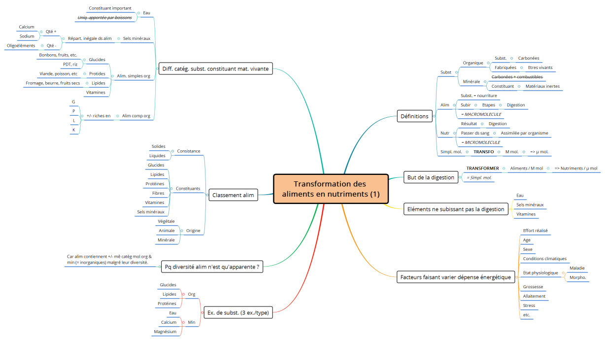 Transformation des aliments en nutriments (1)