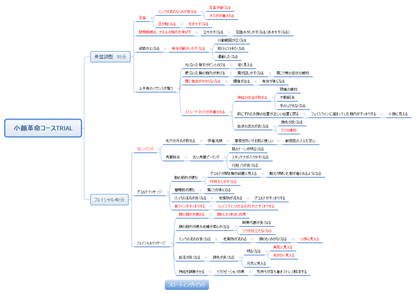 小顔革命コースTRIAL
